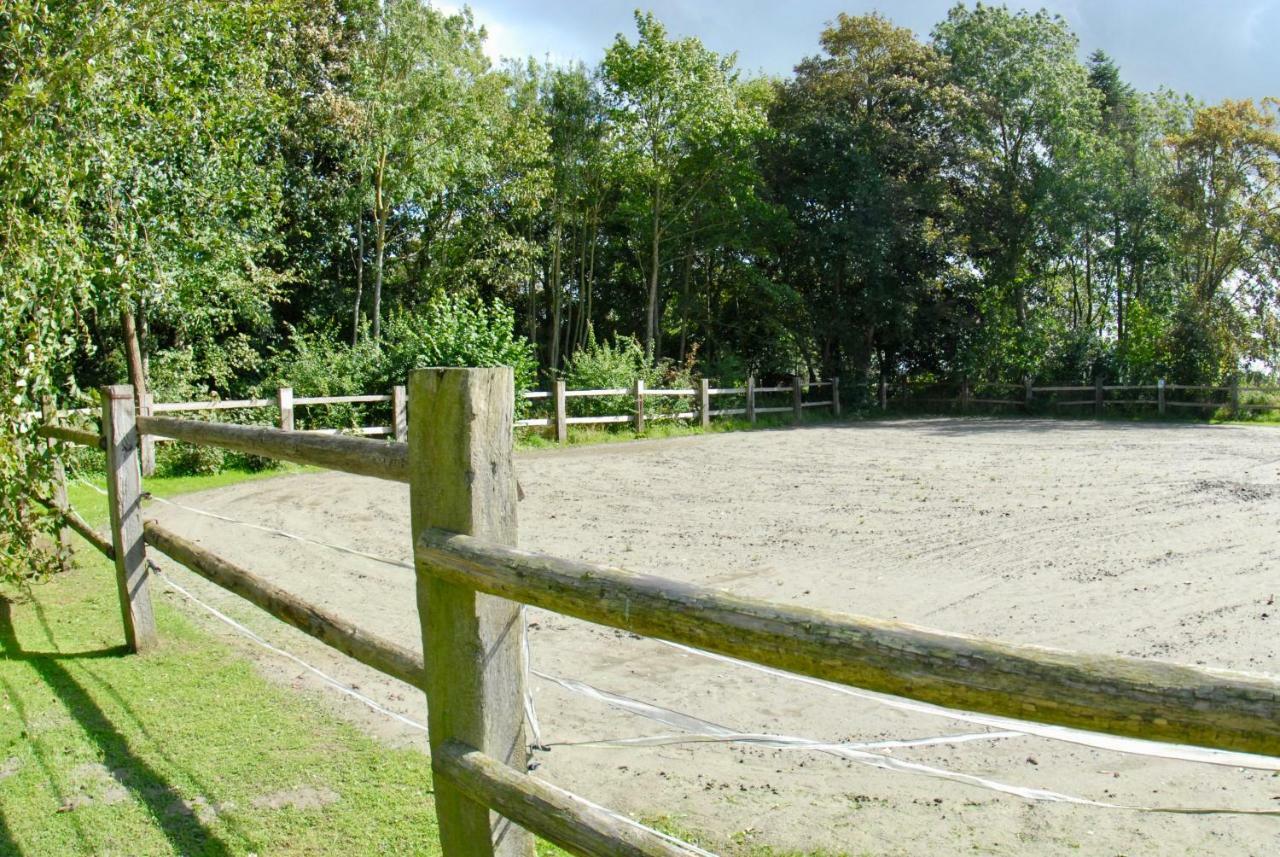 Apartmán Hof Olde Warft Oldenswort Exteriér fotografie